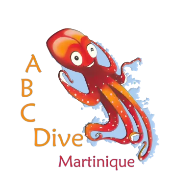 ABC dive logo poulpe
