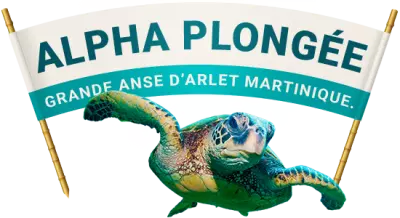 Alpha plongee_logo