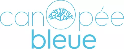 canopée bleue