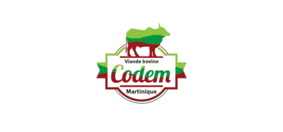 logo-CODem