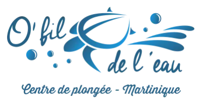 O fil de l'eau_logo
