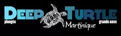 logo Deep Turtle Martinique fond noir