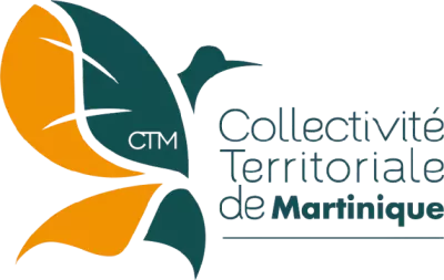 logo_CTM