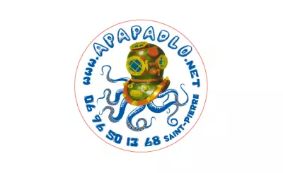logo apapa dlo