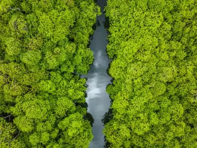 nature