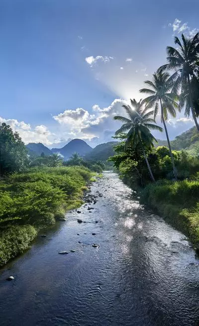 montagne pelee