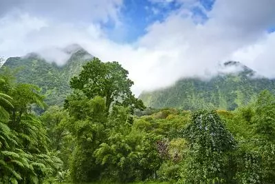 montagne pelee