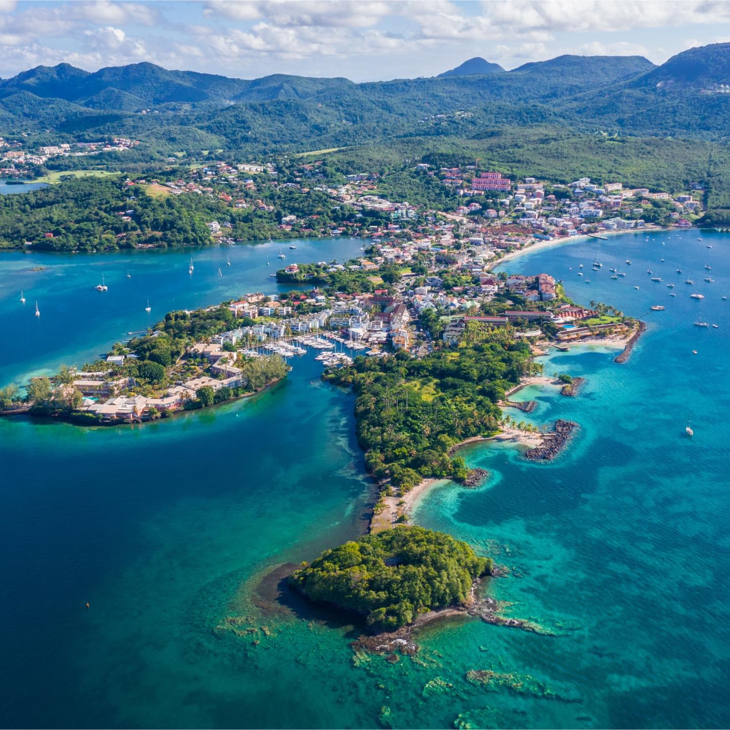 La Martinique Bleue - Eaux Cristallines et Trésors Sous-Marin